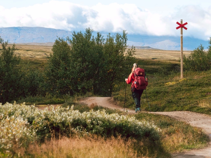 Kvinna vandrar Jämtlandstriangeln