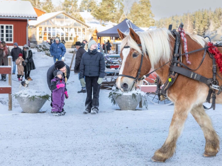 Jullmarknad i ett snöklätt Trosa där en familj står och tittar på en häst som drar en vagn. 
