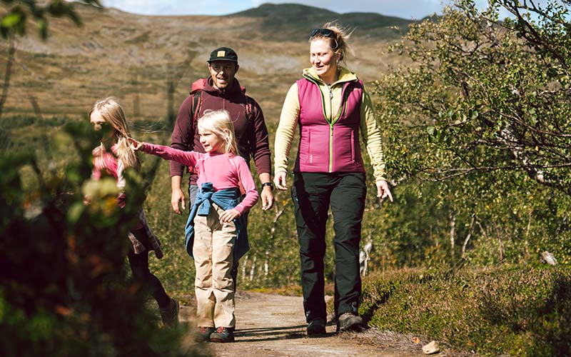 En familj med två barn vandrar längs en solig fjällstig omgiven av grönska och lågfjäll.