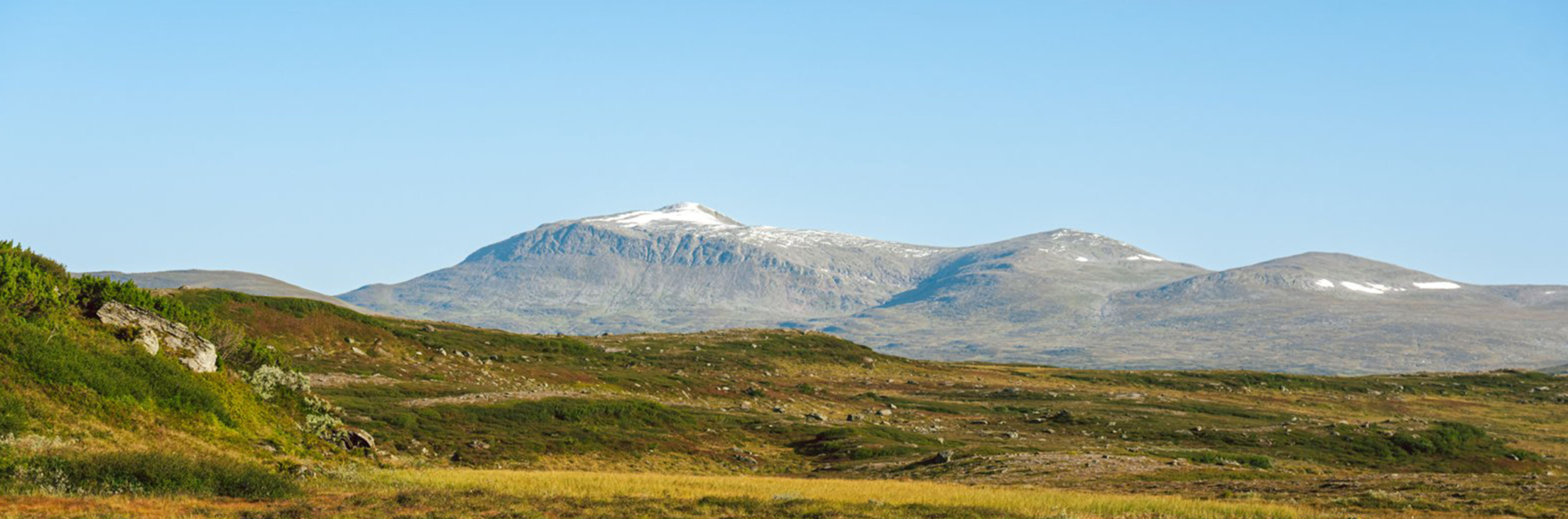 Helagsfjällen i bakgrunden och blå himmel.