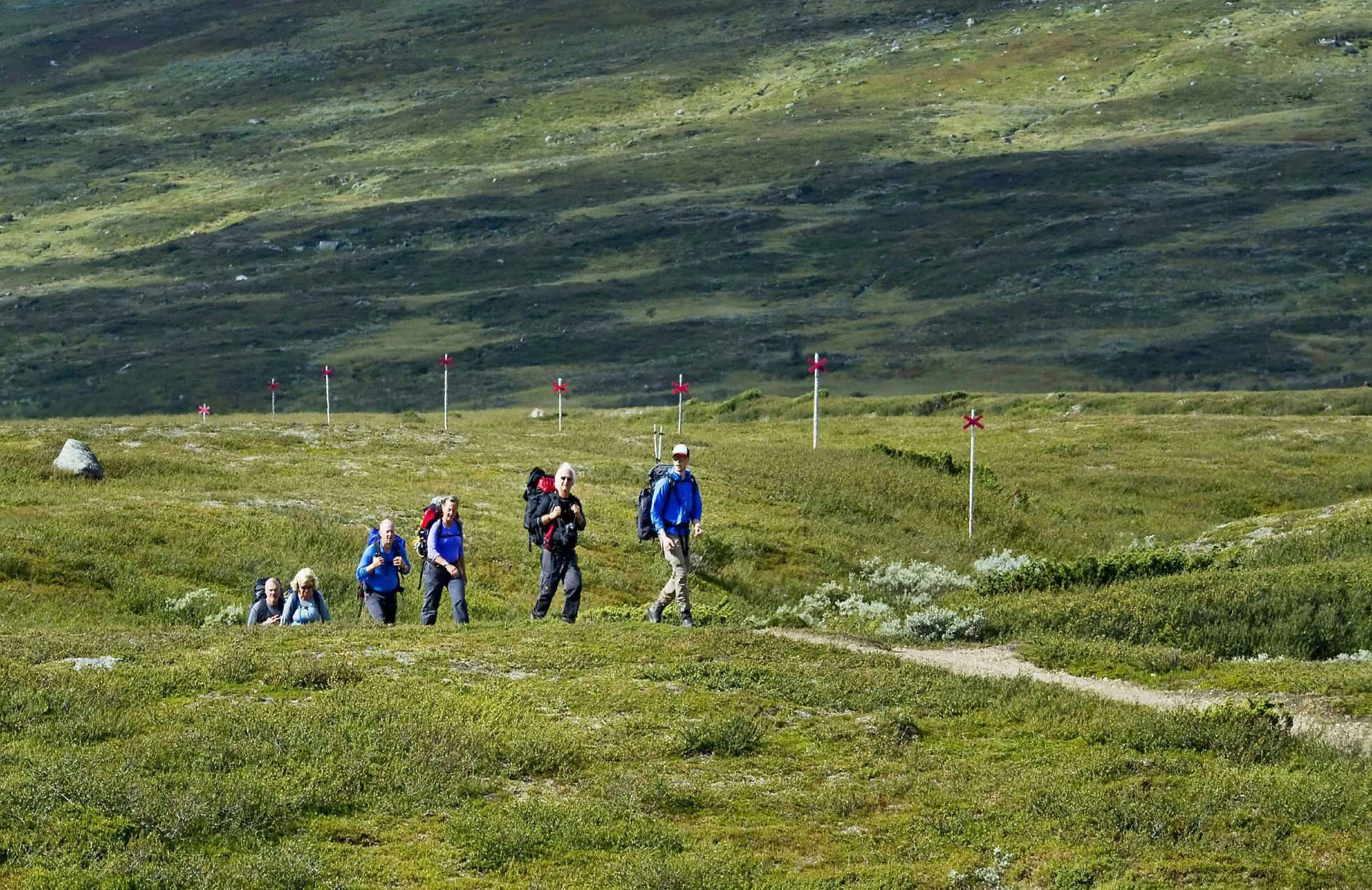 En grupp vandrare går genom ett öppet fjällandskap, omgivna av grön vegetation och med markerade ledkryss i bakgrunden.