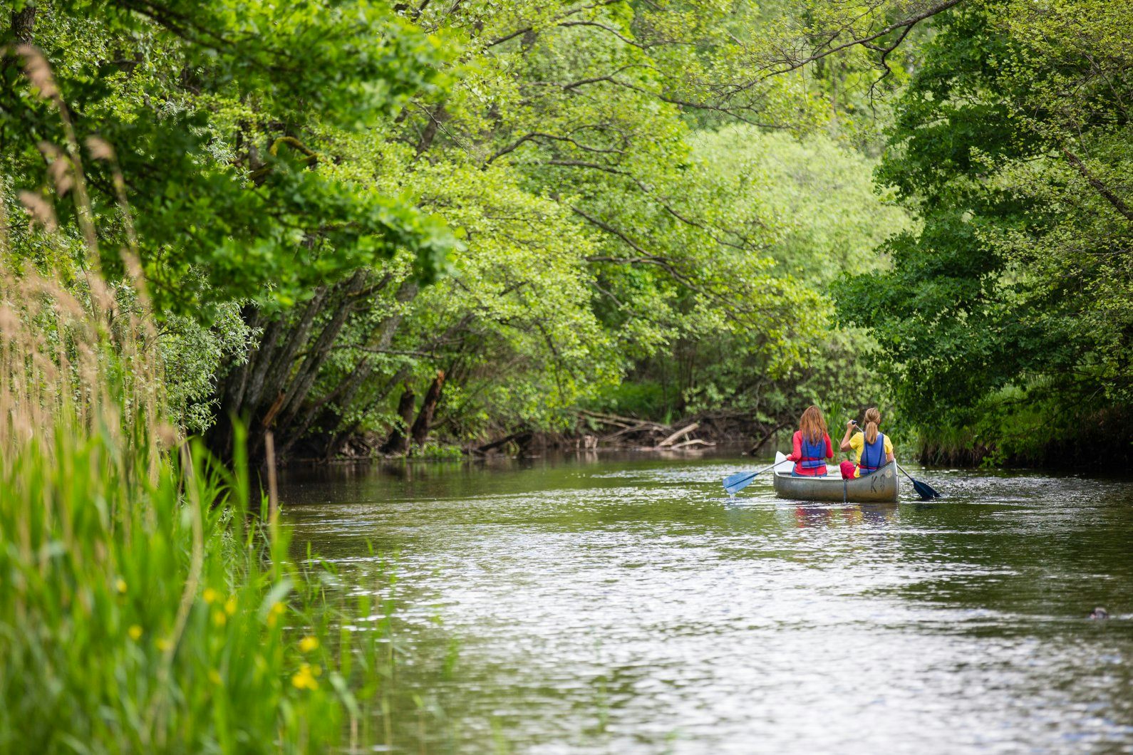 Två personer paddlar kanot på en lugn å omgiven av grönskande skog.