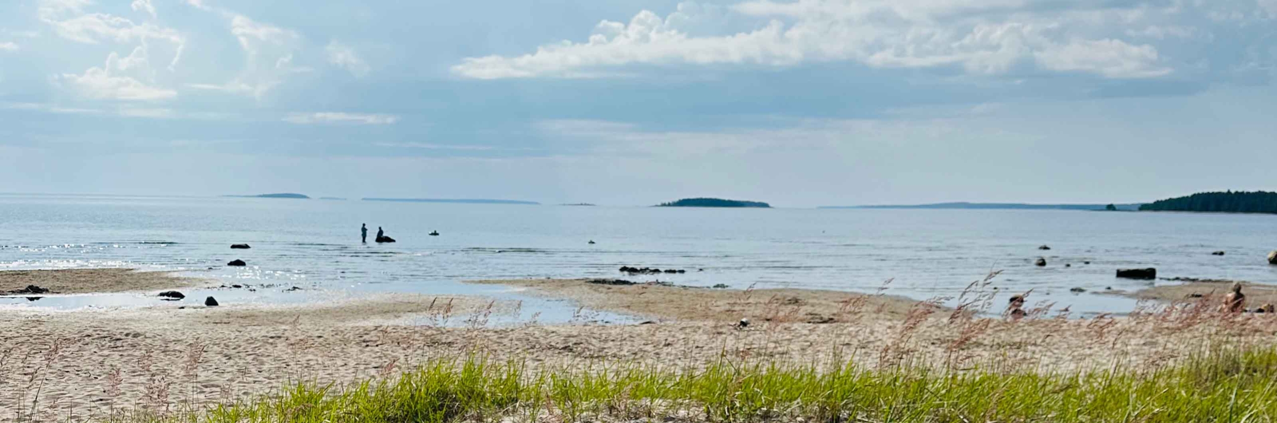 Kustlandskap med strand och stilla hav under molnig himmel.