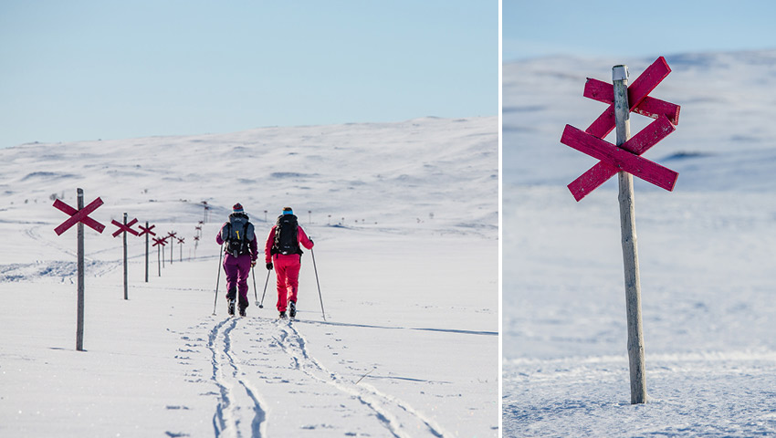 Två skidåkare följer en vinterled markerad med röda ledkryss.