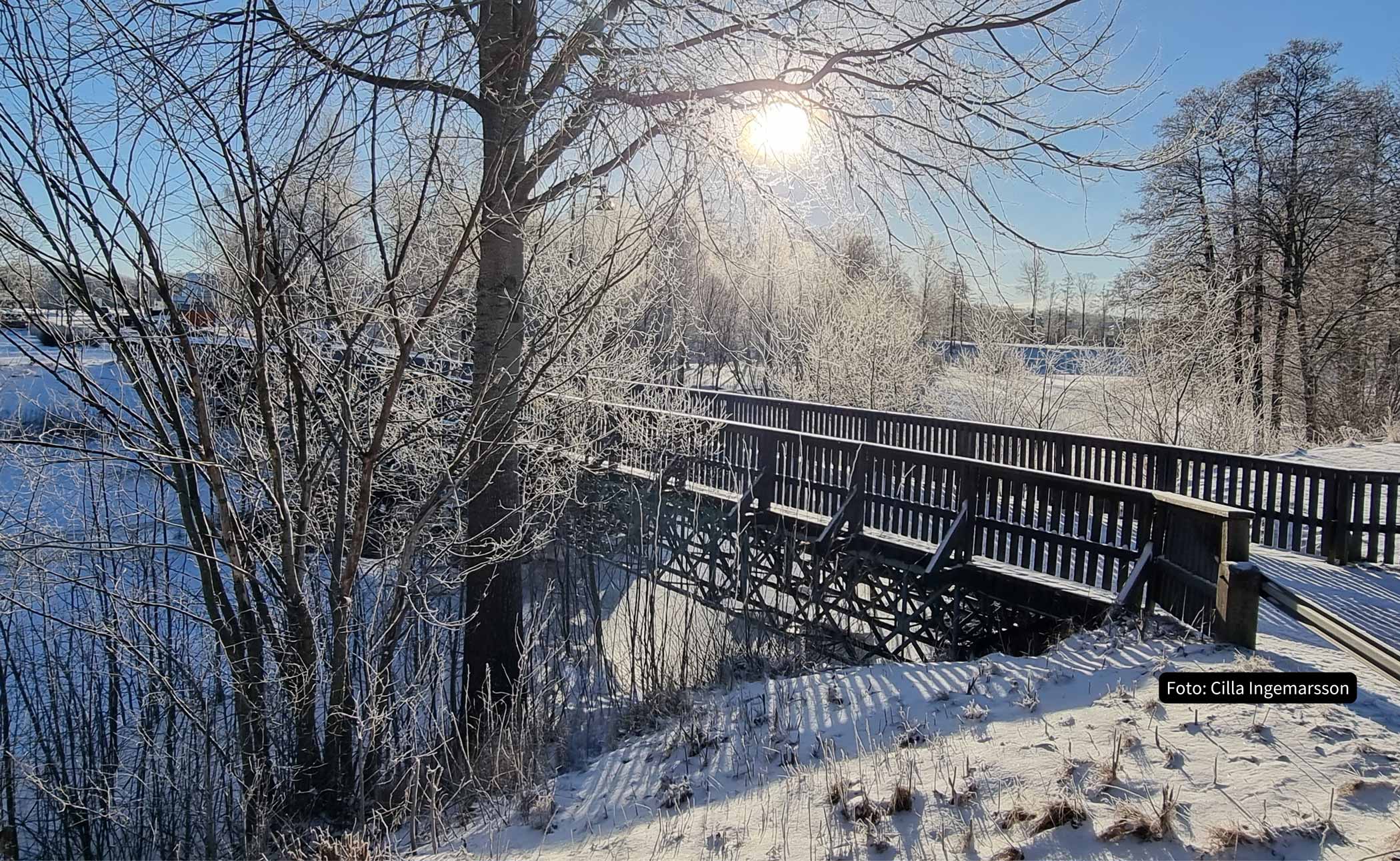 Sol över ett skogslandskap intill en bro som går över en sjö.