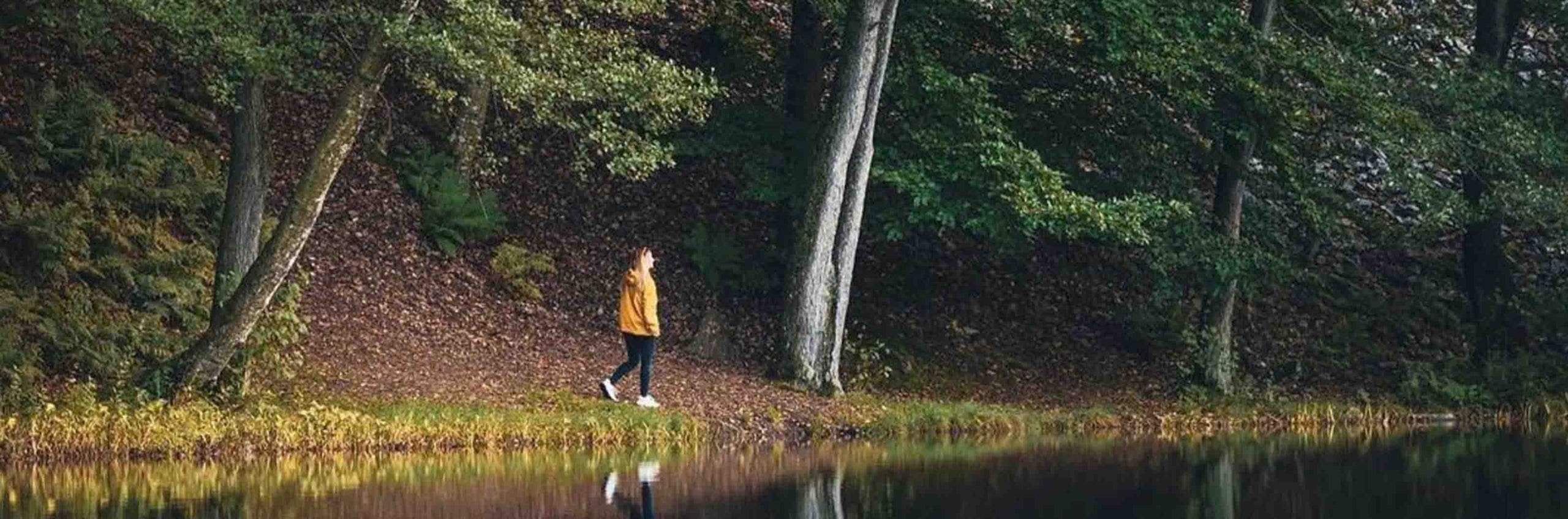 Person promenerar längs en skogsstig vid en stilla sjö.