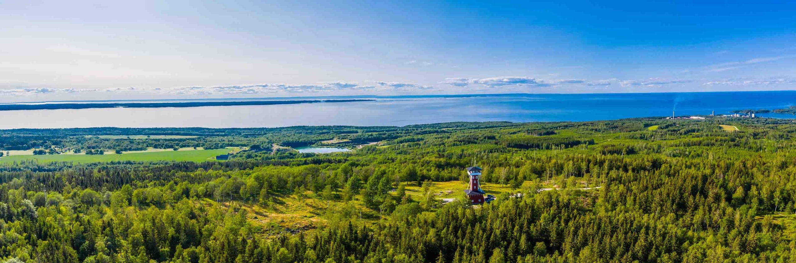 Utsikt över skog och landskap mot en stor sjö under klarblå himmel.