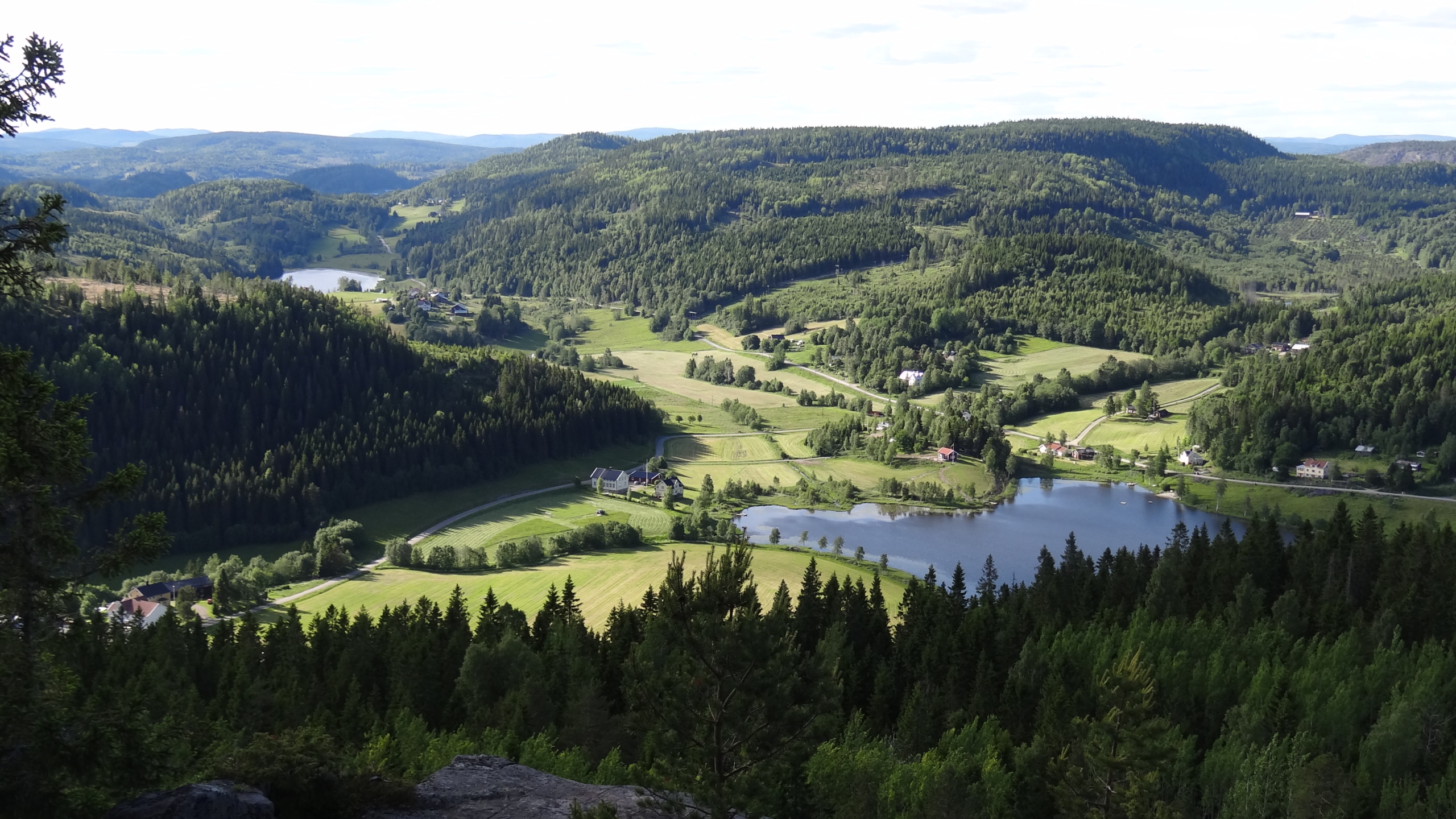 Vy över grönskande dal med trädtoppar och sjö.