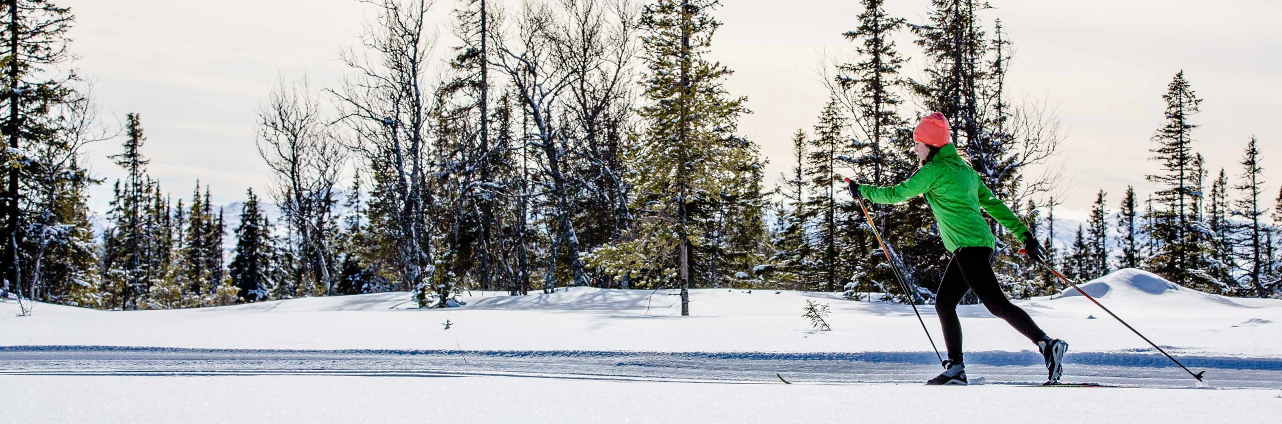 En person åker i skidor i längdspår bland träd.