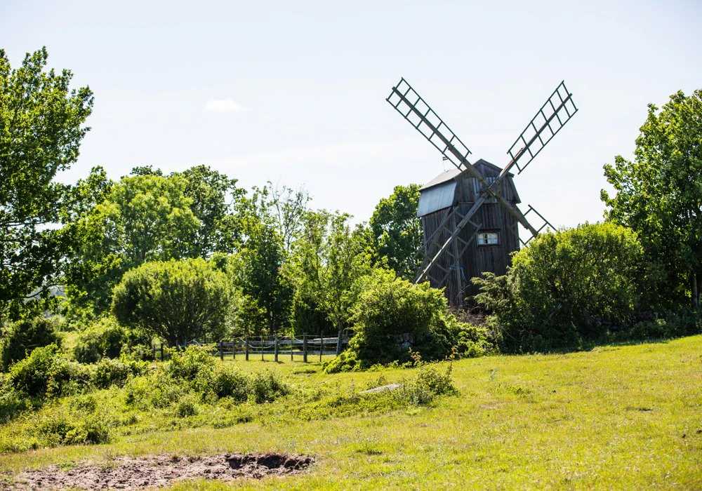 En väderkvarn på en äng längs Signaturled Öland.