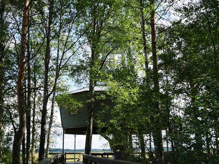 Fågeltorn i träd med utsikt över landskapet.