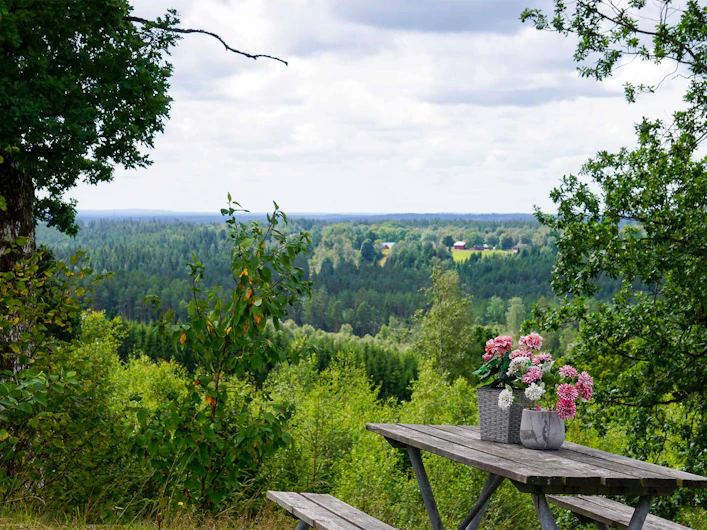Picknickbord med blommor och utsikt över skog och landskap.