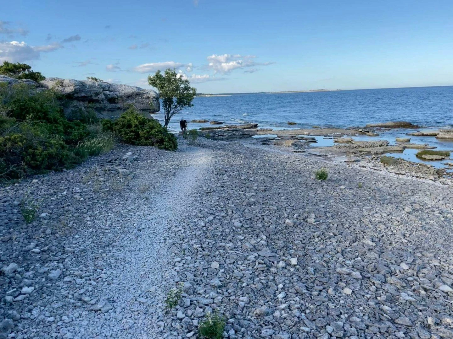 En stig utmed havet på Gotlands östkust.