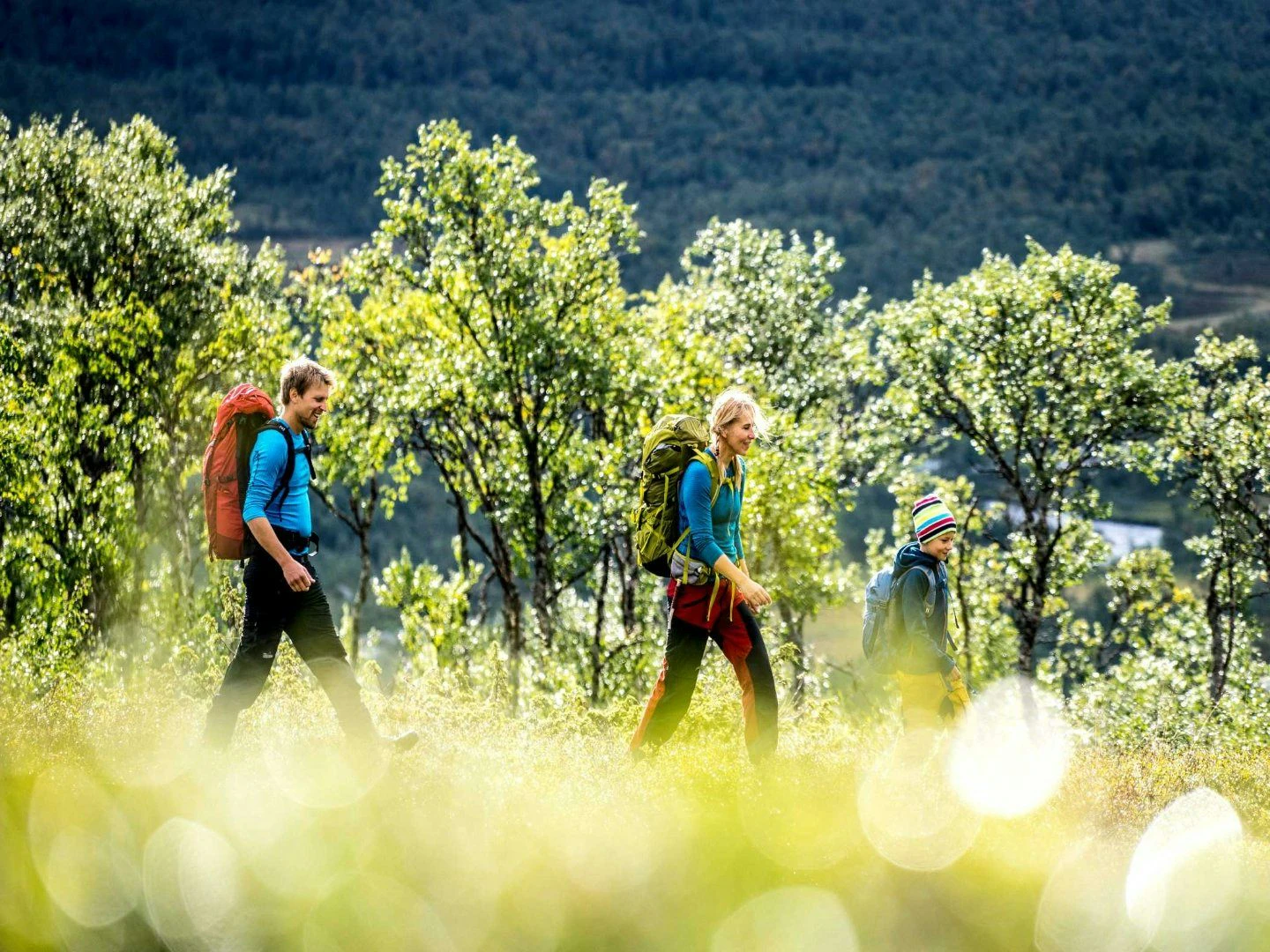 Familj på vandring genom grönskande skog i solsken.