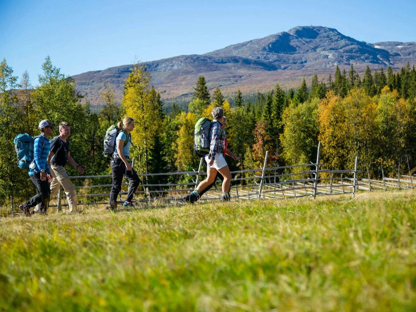 4 vandrare med ryggsäckar på en väg med ett fjäll i bakgrunden en sommardag.