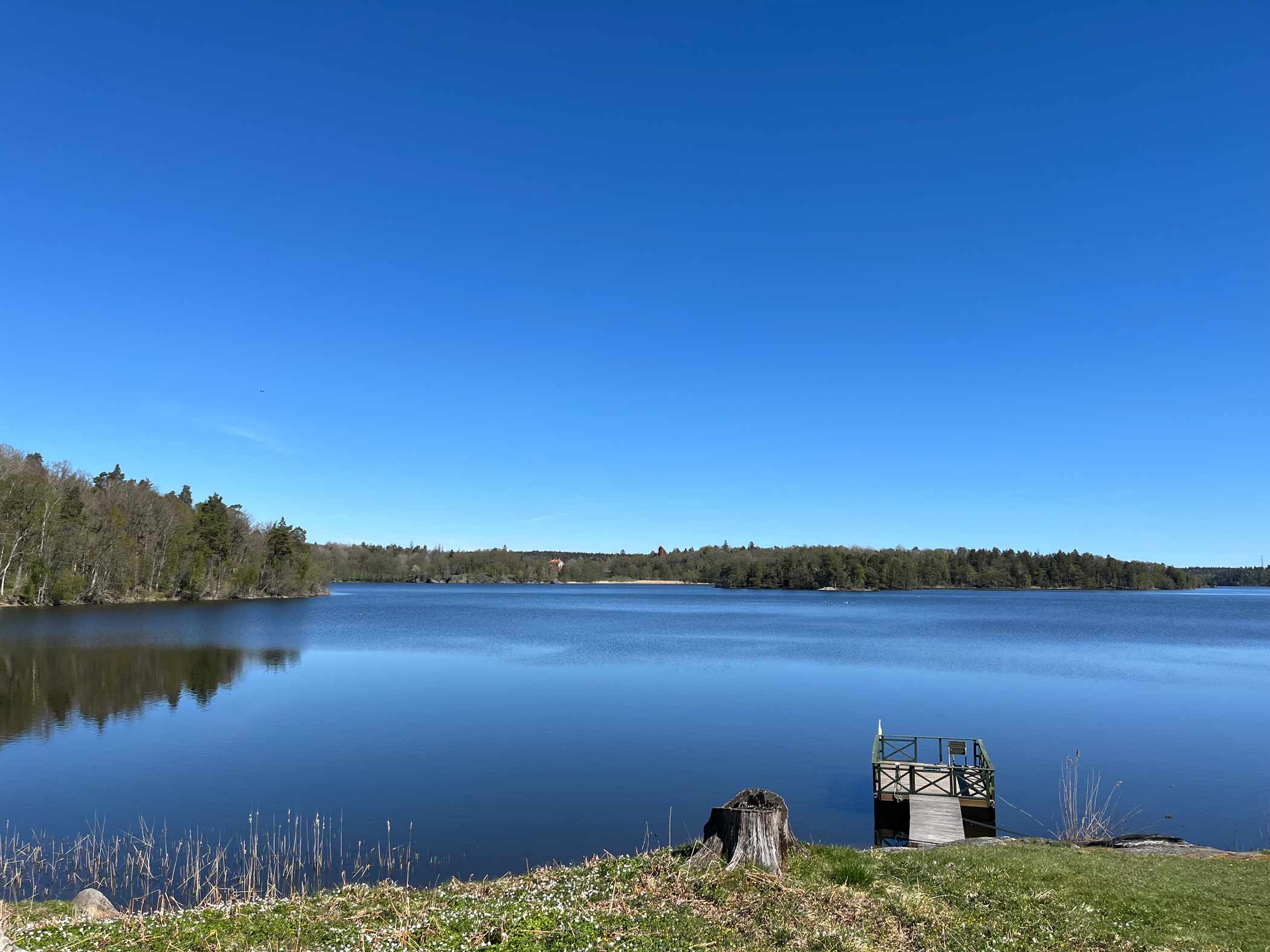Sjö med spegelblankt vatten, omgiven av skog under klarblå himmel och liten brygga i förgrunden.