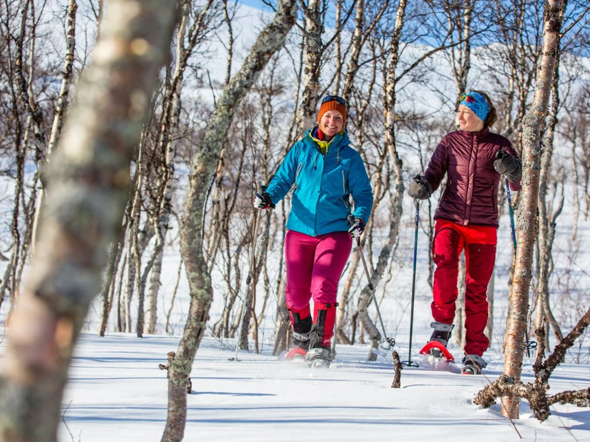 Två personer vandrar med snöskor genom en björkskog i vinterlandskap.