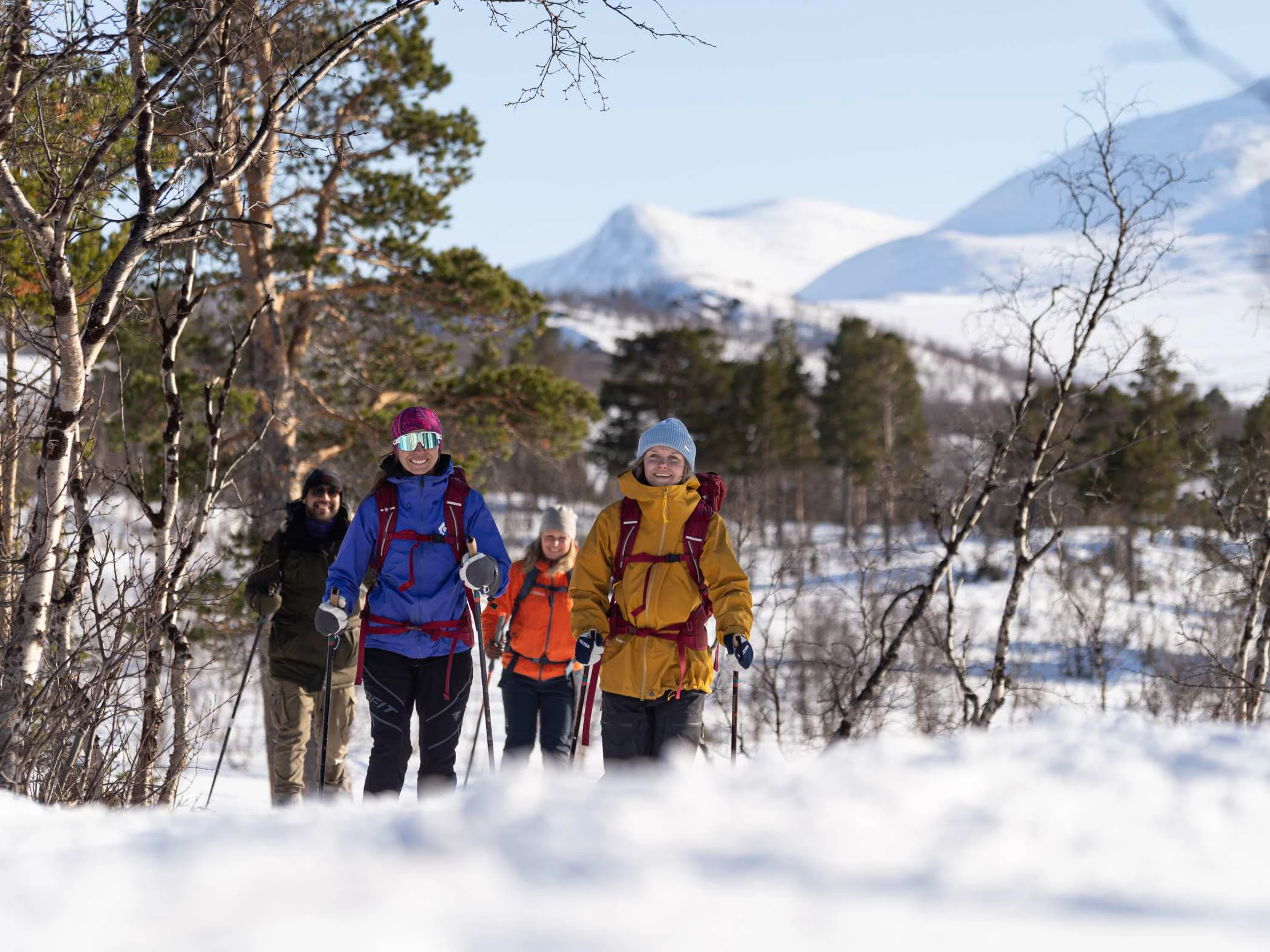 Deltagare på turskidtur längs en vinterled i Abisko.