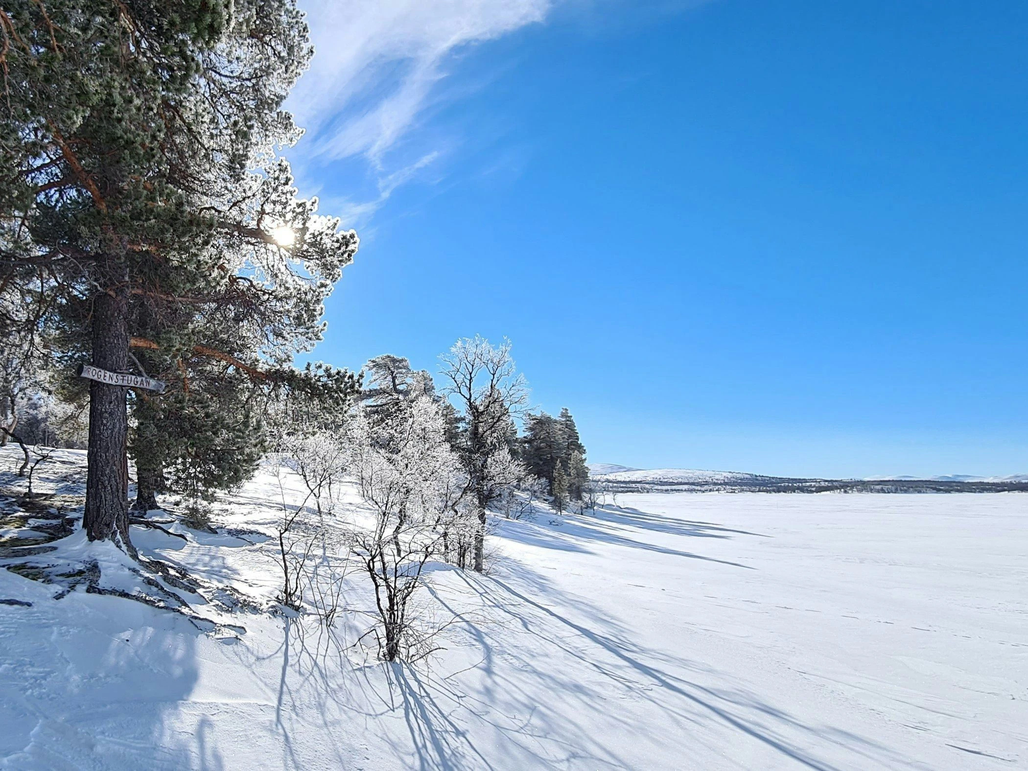 En snötäckt snö en solig vinterdag i Rogen.
