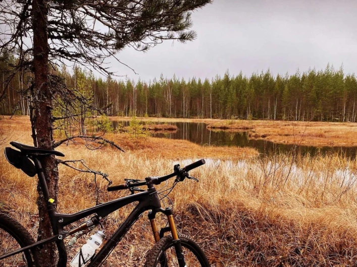Mountainbike lutad mot ett träd vid en liten skogstjärn.
