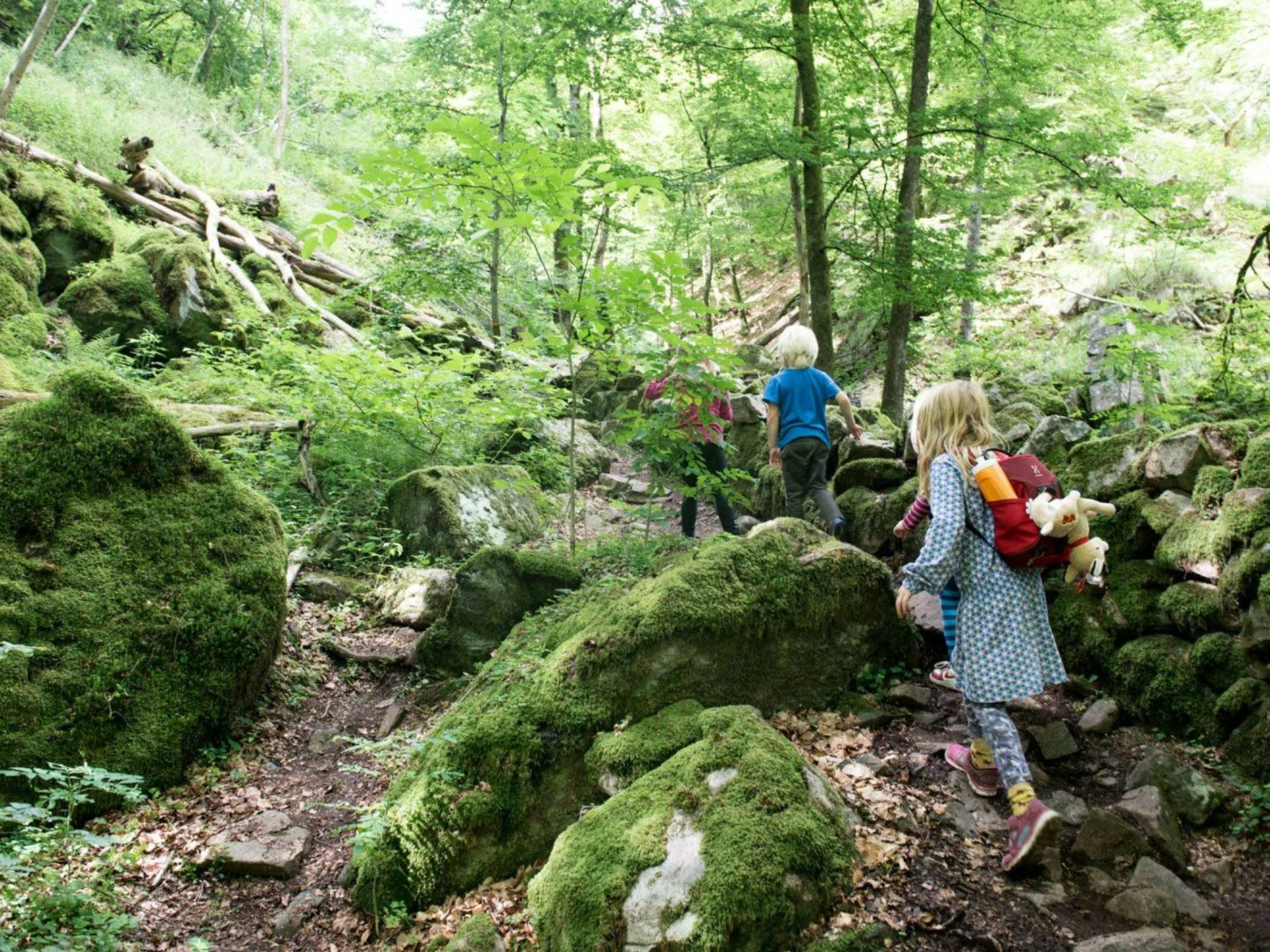 Tre barn som är ute och vandrar i skogen och klättrar upp för stora stenar.