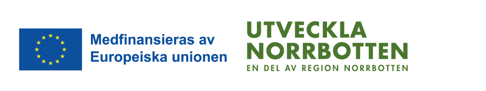 Utveckla Norrbotten – en del av Region Norrbotten och Medfinansieras av Europeiska unionen.