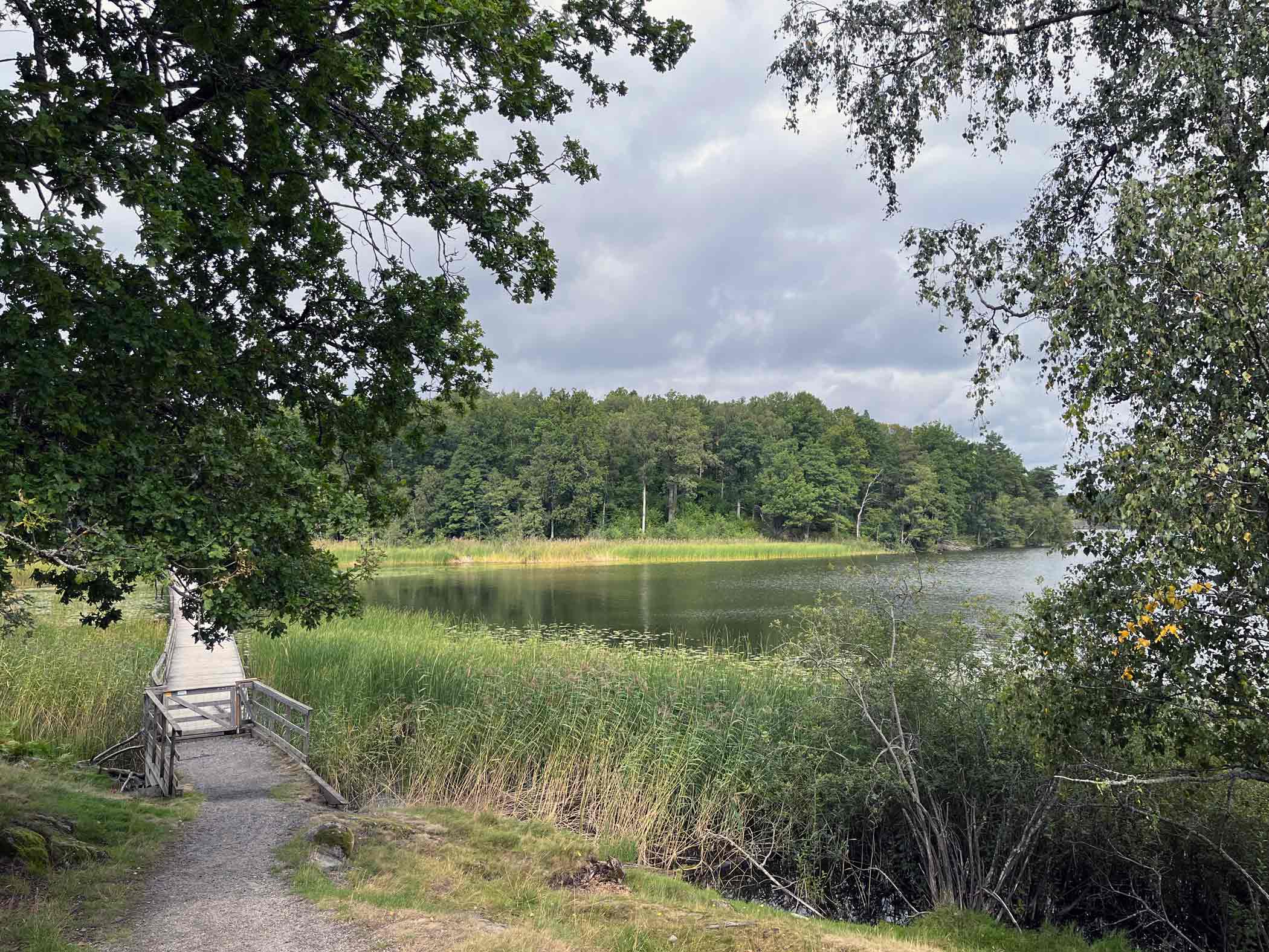 Utsikt över sjön Orlången med grönskande strand, vass och en smal träbro som leder ner mot vattnet.
